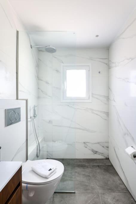 Blue Delta Apartment Palaio Faliro Athens Ngoại thất bức ảnh